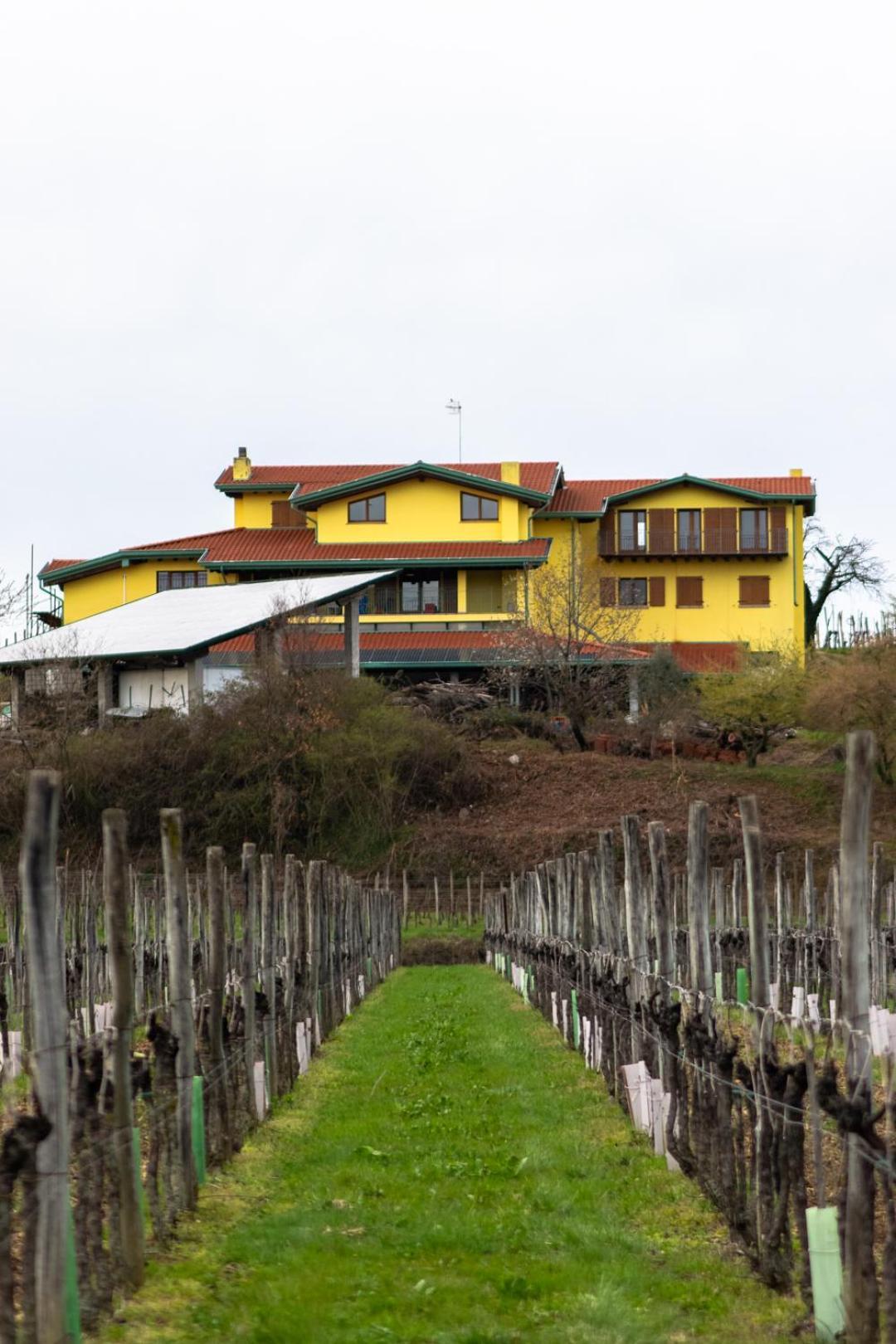 Agriturismo Nema Mossa Exterior foto